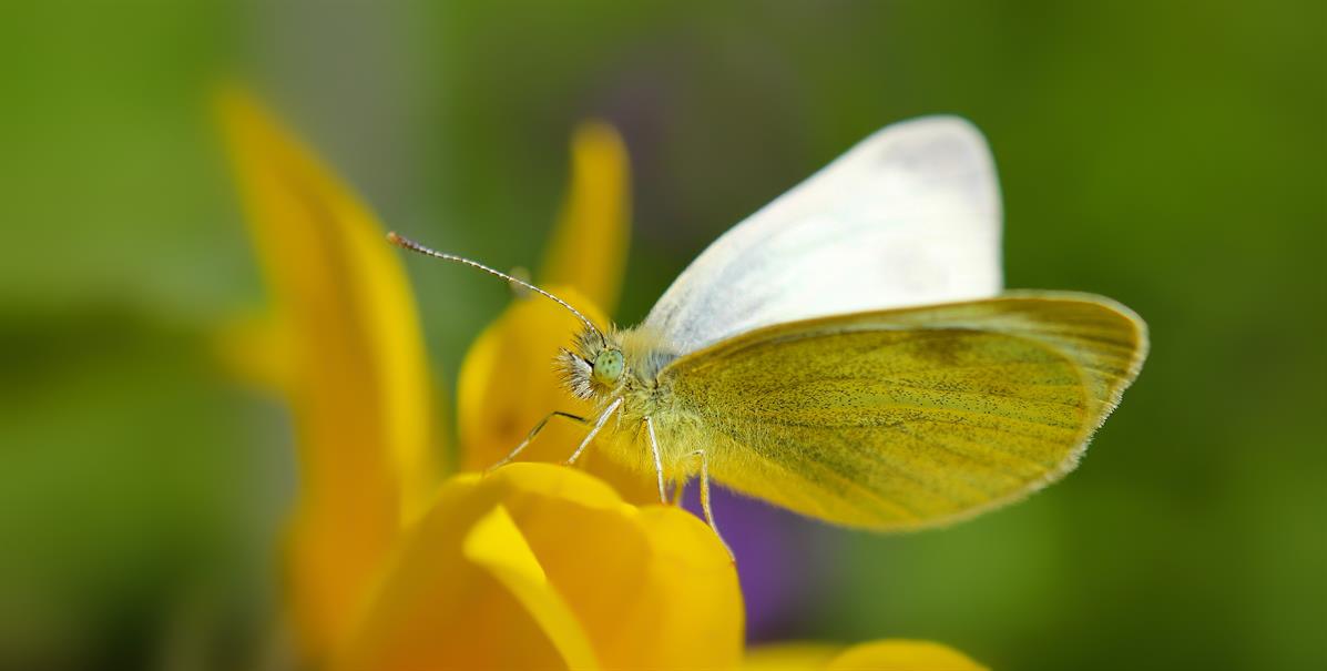 Fotos, Impressionen und Gedanken aus dem Bereich der Fotografie und Bildbearbeitung.